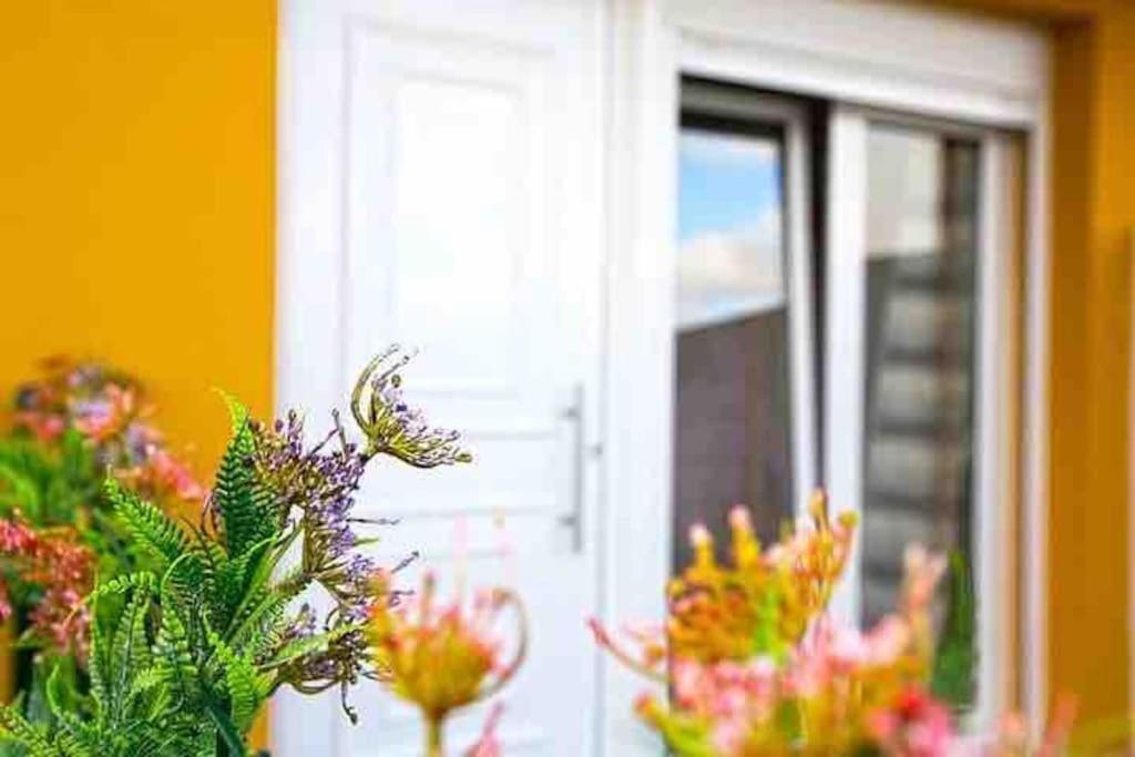 Waters House Studio Peniche Exterior photo